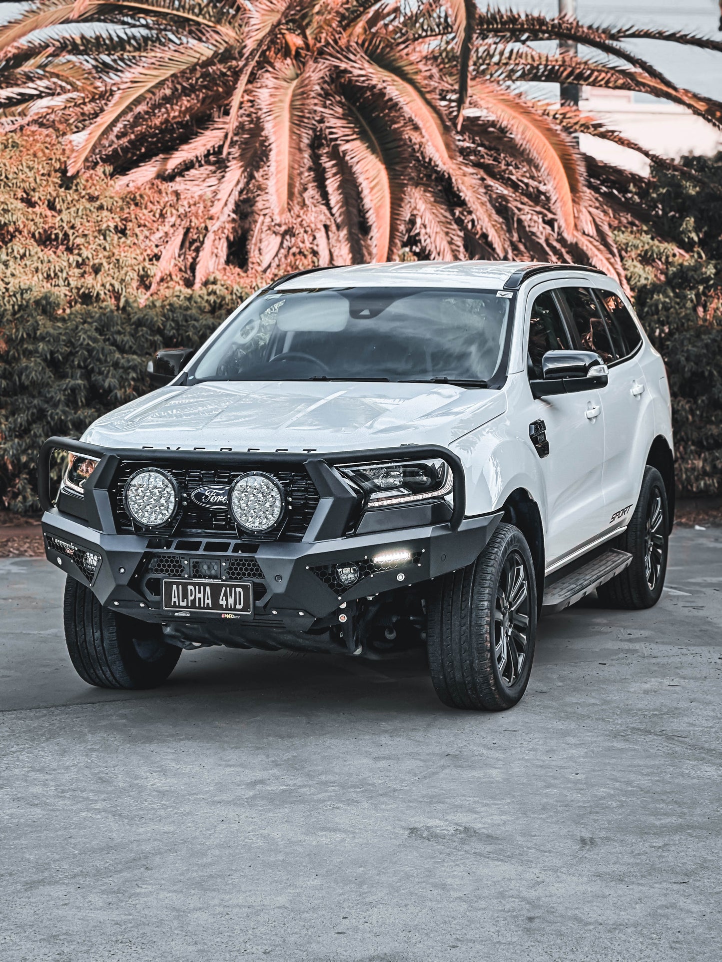 Alpha 4WD Steel Pack Bull Bar for Ford Everest 2015-2022